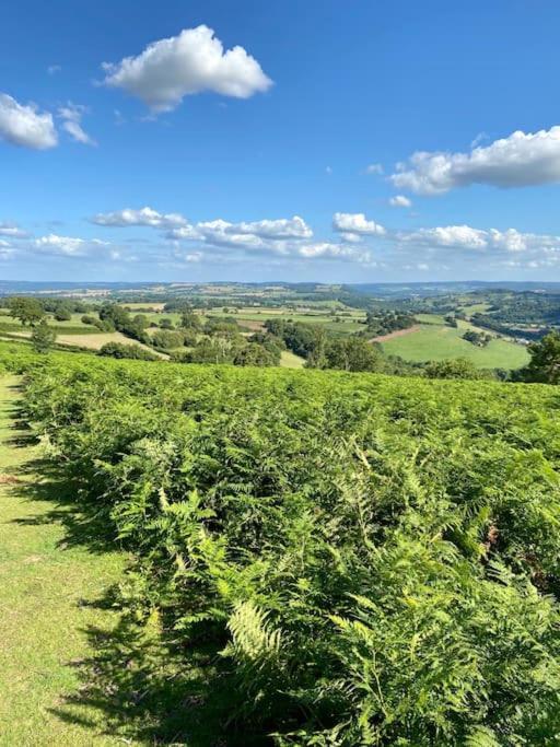 The Mill Stylish Rural Apartment With Beautiful Views Welsh Newton Common Екстериор снимка