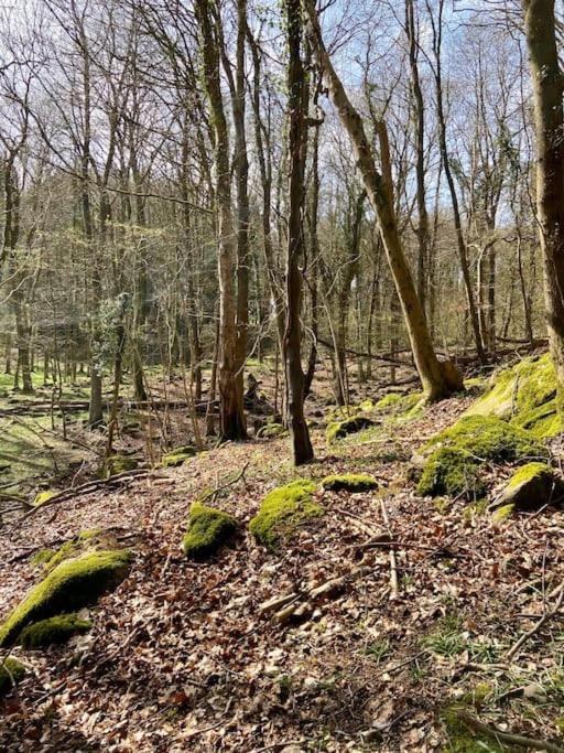 The Mill Stylish Rural Apartment With Beautiful Views Welsh Newton Common Екстериор снимка
