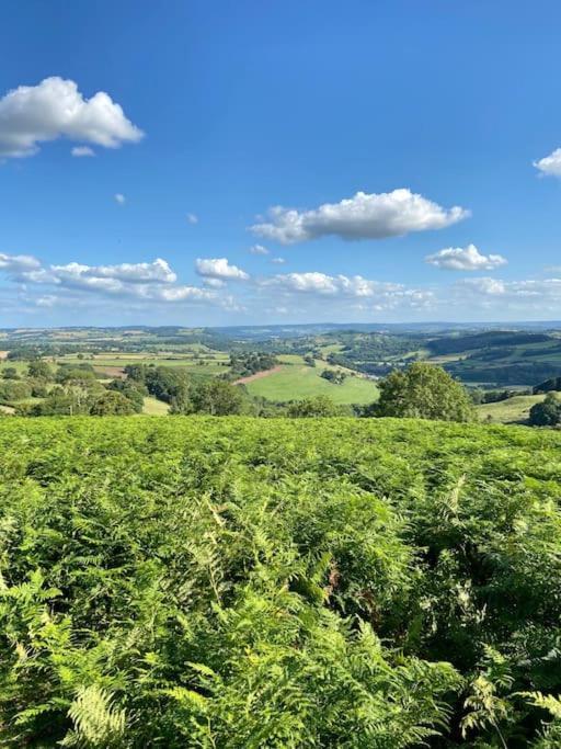 The Mill Stylish Rural Apartment With Beautiful Views Welsh Newton Common Екстериор снимка
